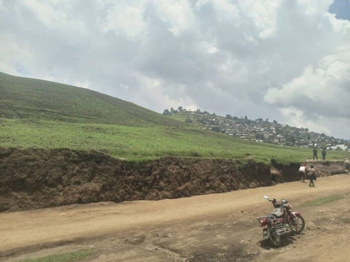 Ngungu